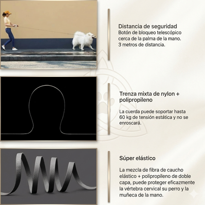 Correa Retráctil Inteligente con Luz LED 🐕